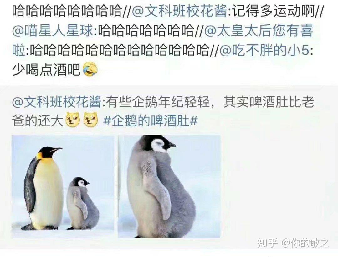 如何抱团取暖(如何抱团取暖视频) 如何抱团取暖(如何抱团取暖视频)