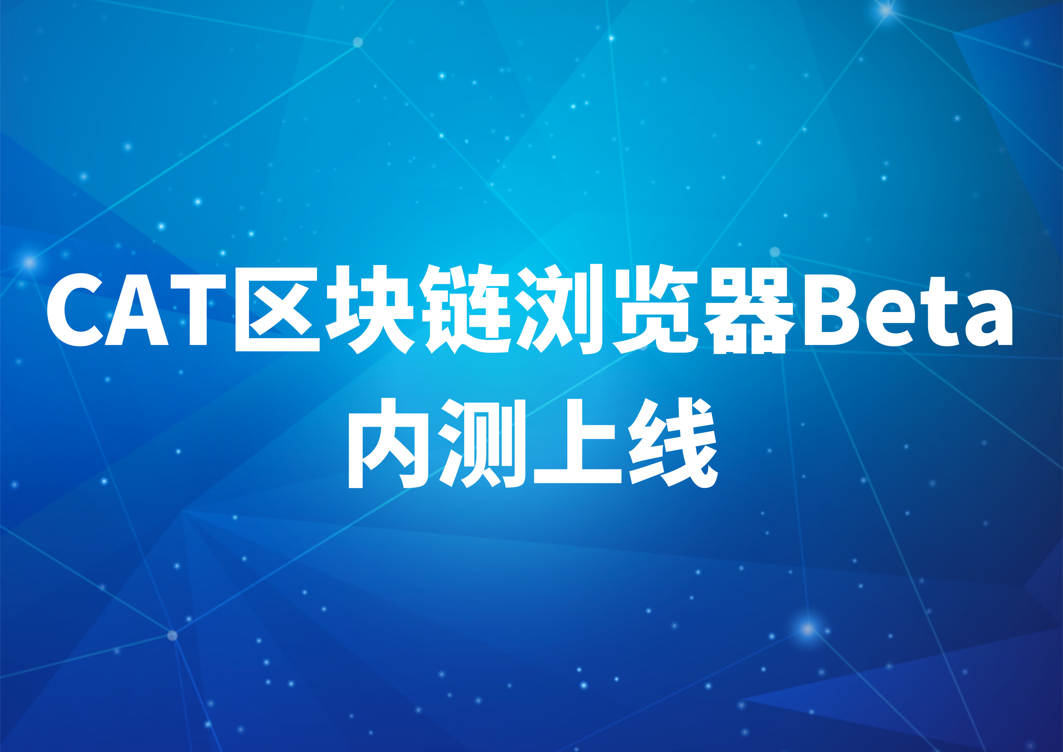 泰达币区块链浏览器(泰达币是区块链吗)