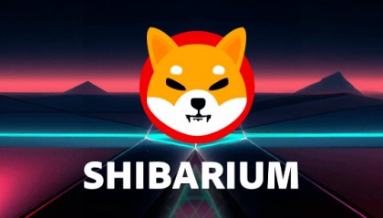 doge合约地址(doggy 合约地址)