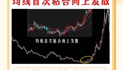 均线群如何(均线绝招)