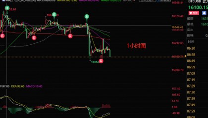 比特币今日行情走势(江苏小伙手握348枚比特币)