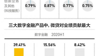 蚂蚁微贷理财如何(蚂蚁微贷怎么样)