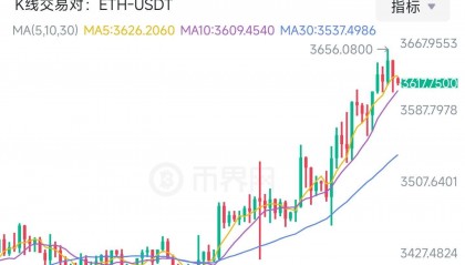 比特币国际交易(比特币交易网国际站app)